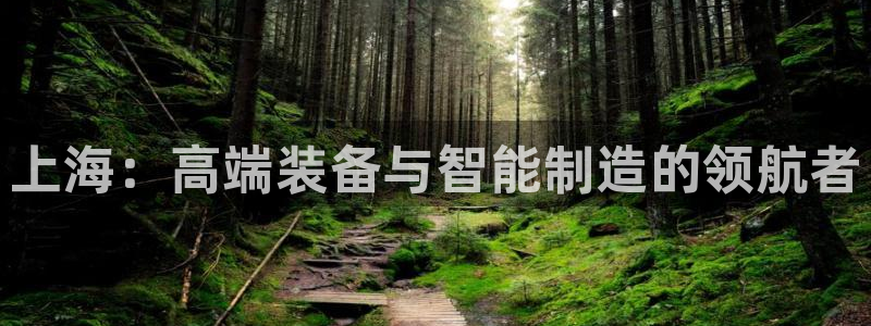 九游会集团货币