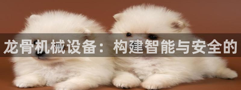 九游会平台登录不上