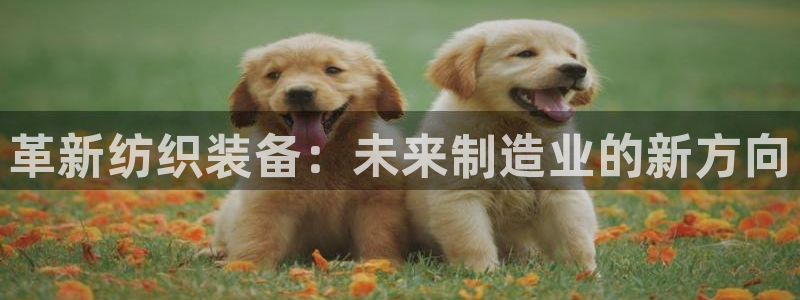 九游会app官方下载