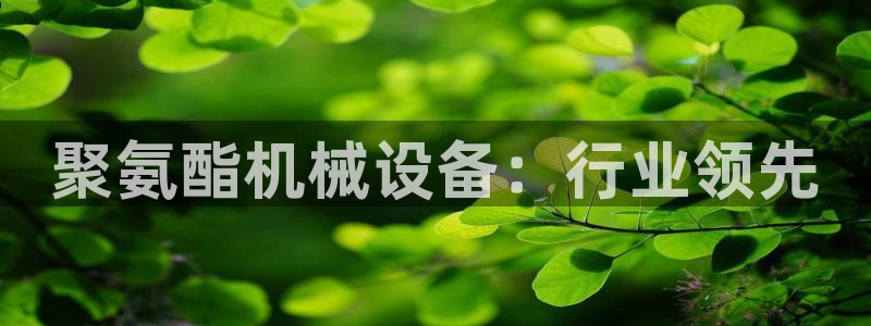 j9九游会备用网址