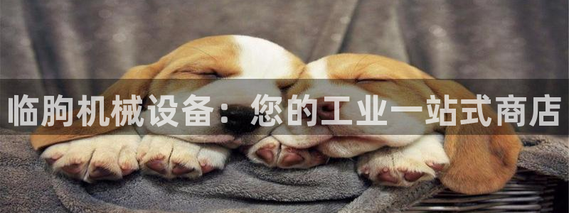 九游会是干嘛的软件