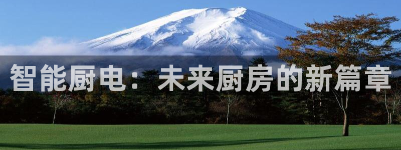 九游会老哥俱乐部官网