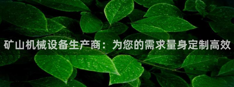 九游会在线官方